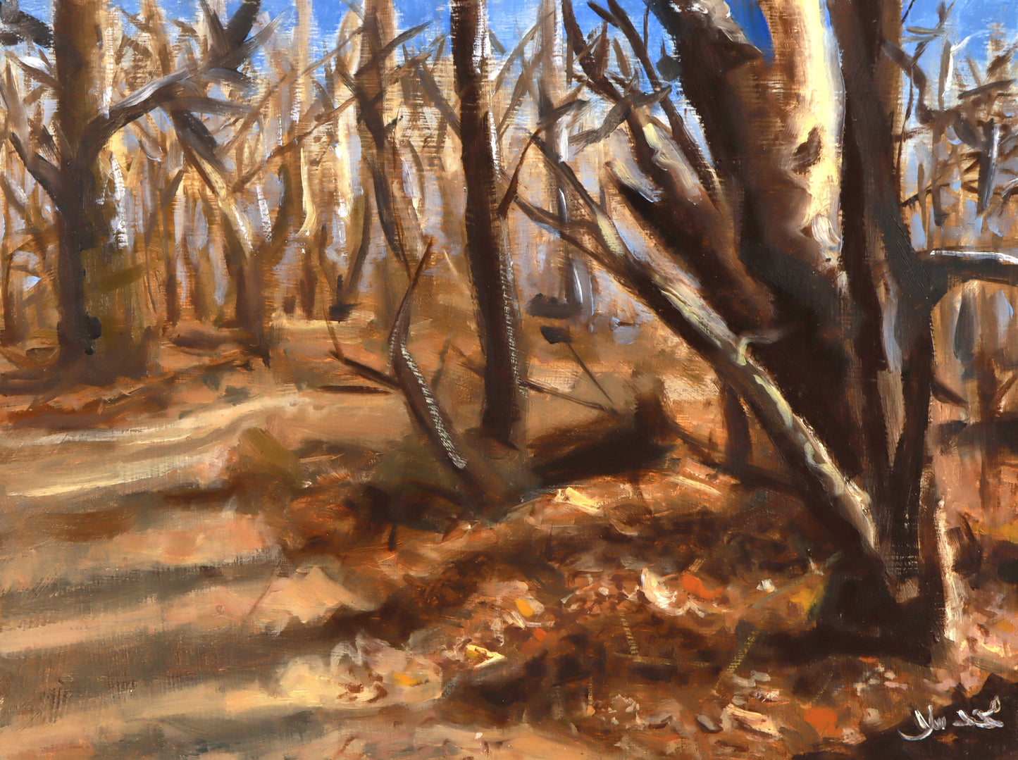 Prospect Park Fall, Oil painting, 9x12 inches, Oil on masonite board, fine art